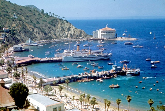 fun things to do in Catalina with kids