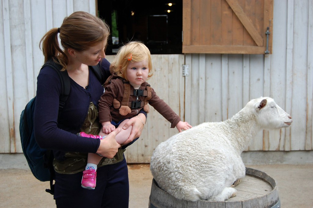 The Ultimate Family Guide to the Oregon Zoo