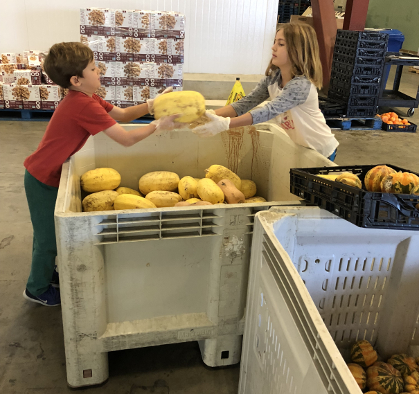 Volunteering Services for San Diego Families