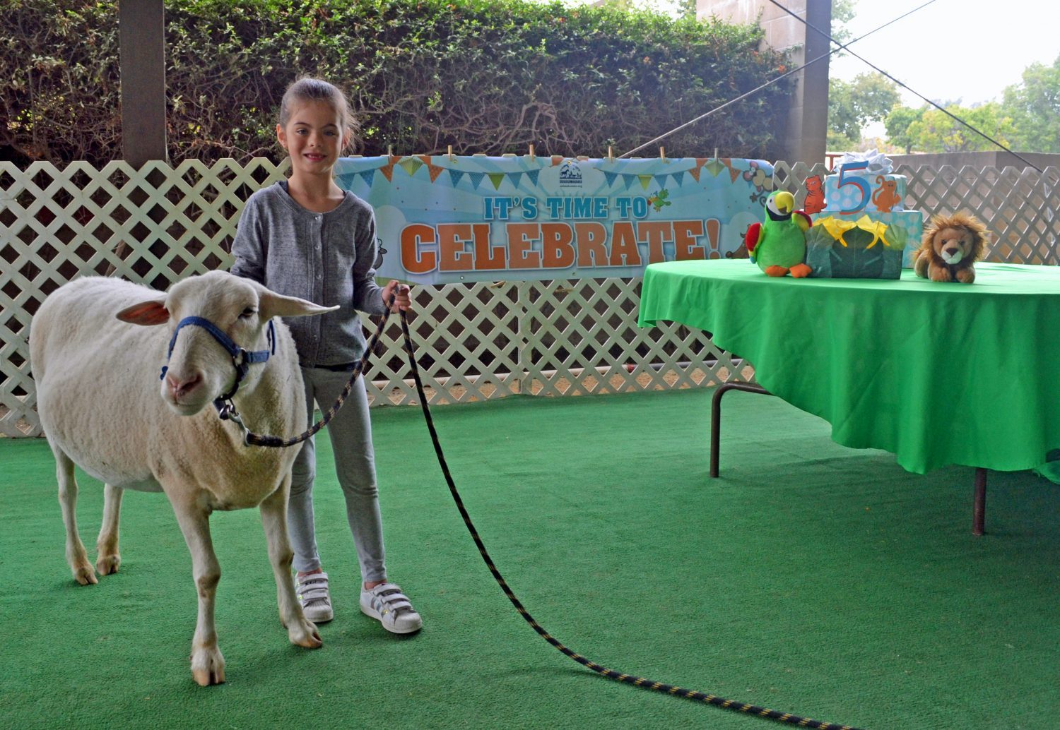 11 Best Animal Birthday Parties in San Diego