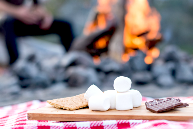 summer, s'mores, marshmallow, dessert, camping
