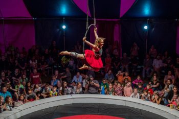 Midnight Circus in the Parks 2019 3