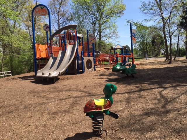 Shady Playgrounds in Washington DC