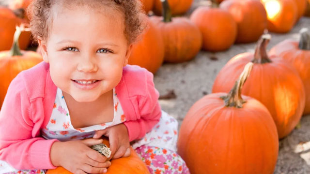 a little girl discovering pumpkins, which is a fun fall sensory activity