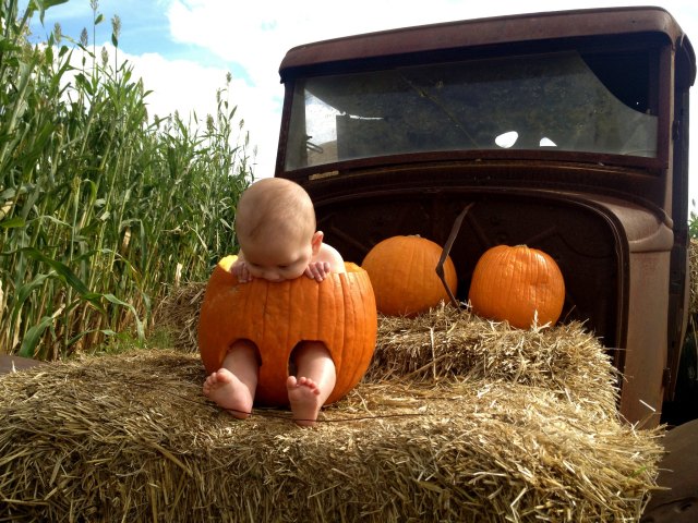 Get Your Gourd at These Pumpkin Patches Near Austin
