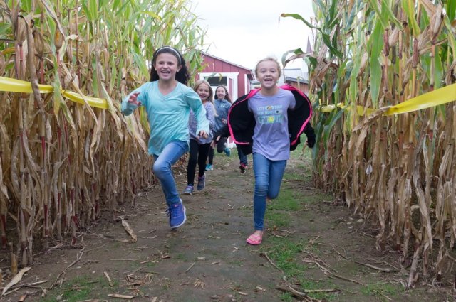 A-maze-ing Adventures! 10 Corn Mazes to Explore with Kids