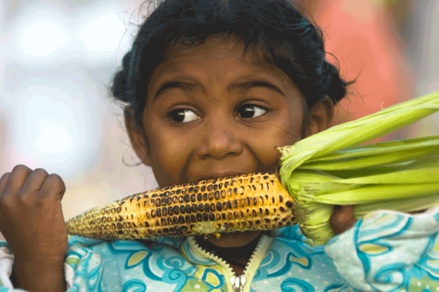 girl eating grilled corn at pumpkin patch