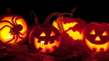 carved pumpkins glow from within during Halloween, fall festivals