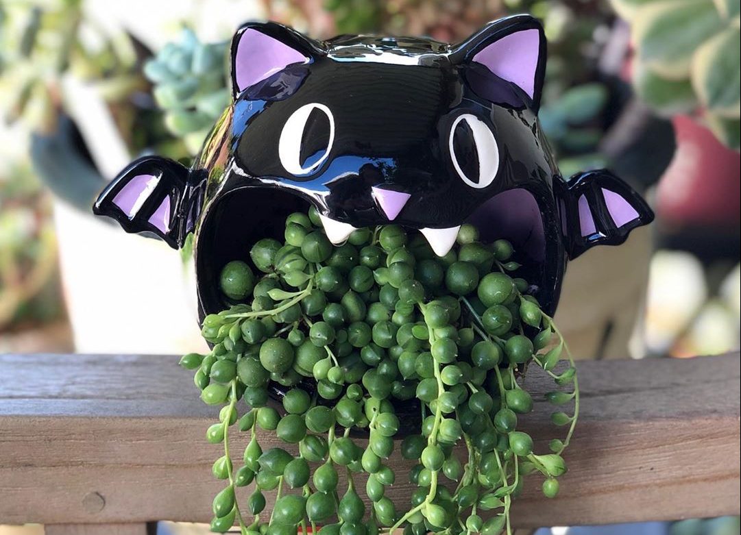 These Target Halloween Candy Dishes Double As Succulent Planters