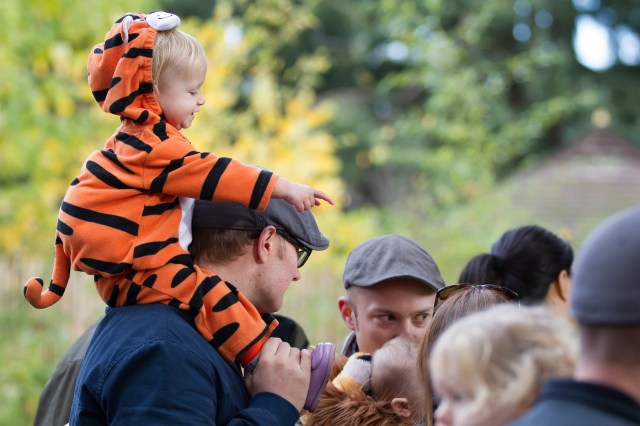 Pumpkin bash woodland park zoo seattle