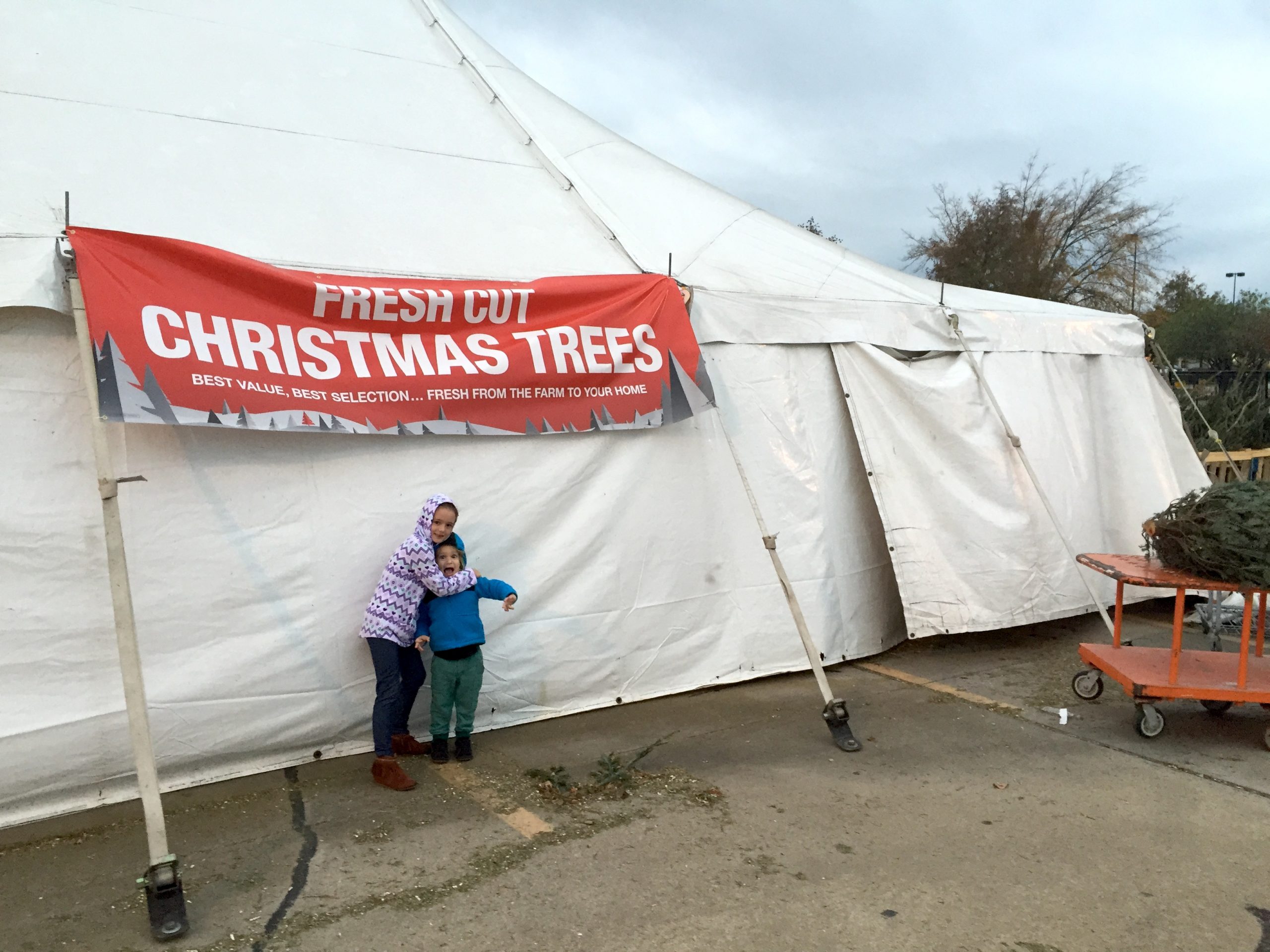 Why Christmas Trees Are More Than Just Decor for My Family Tinybeans