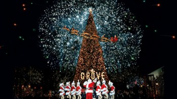 Best Christmas Tree Lighting Ceremonies Los Angeles