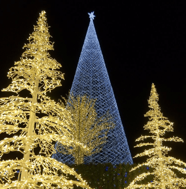 christmas tree, lights, holiday lights