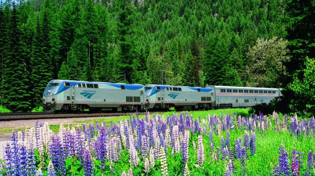Plan Your Summer Vacation with Amtrak’s Free Companion Fare Deal
