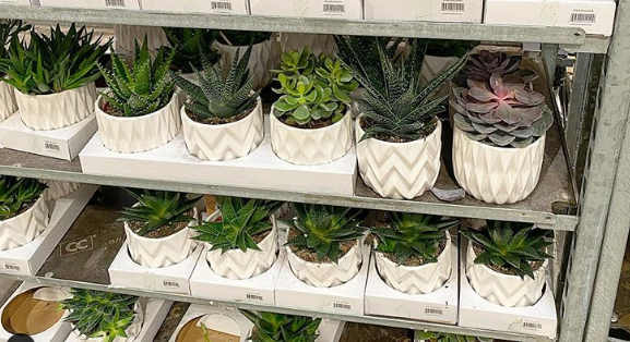 modern planter pots Concept Modern Planter