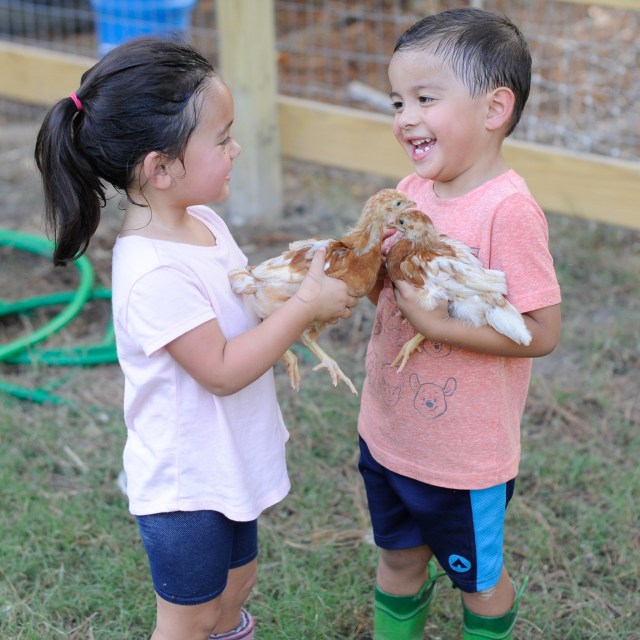 two children holding chickens and smiling