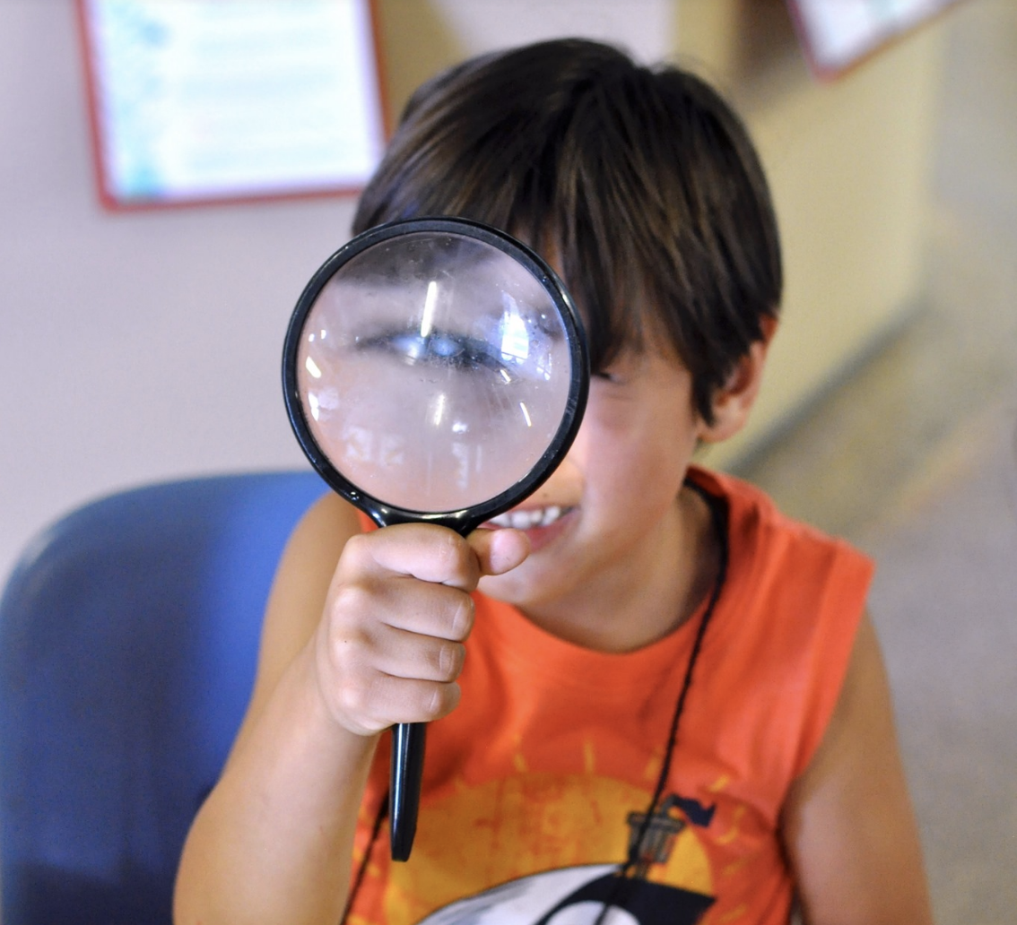 Heal the Bay Aquarium Science Camp - Tinybeans