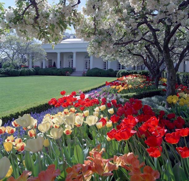 What to See and Do at the White House with Kids