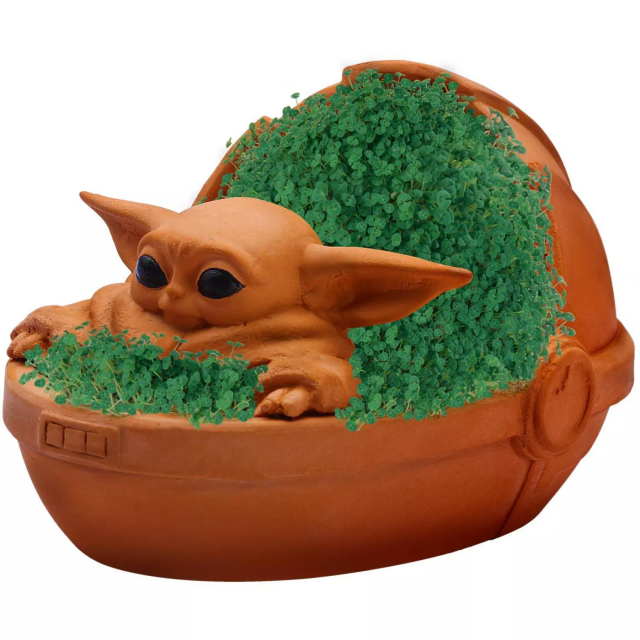 Now You Can Grow Your Own Baby Yoda Thanks to Chia Pet