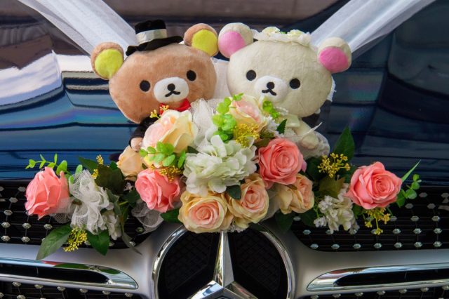 Teddy bride and groom