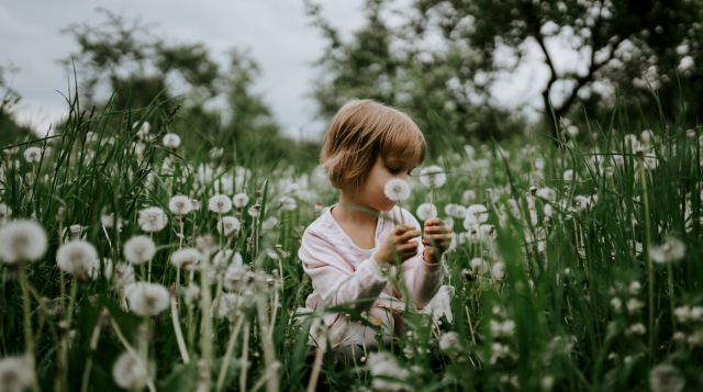 Tips & Tricks to Treating Seasonal Allergies in Children
