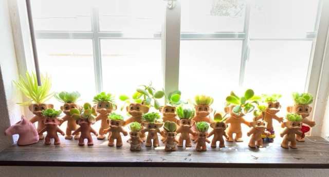 These Trolls Succulents Are Gardening Goals