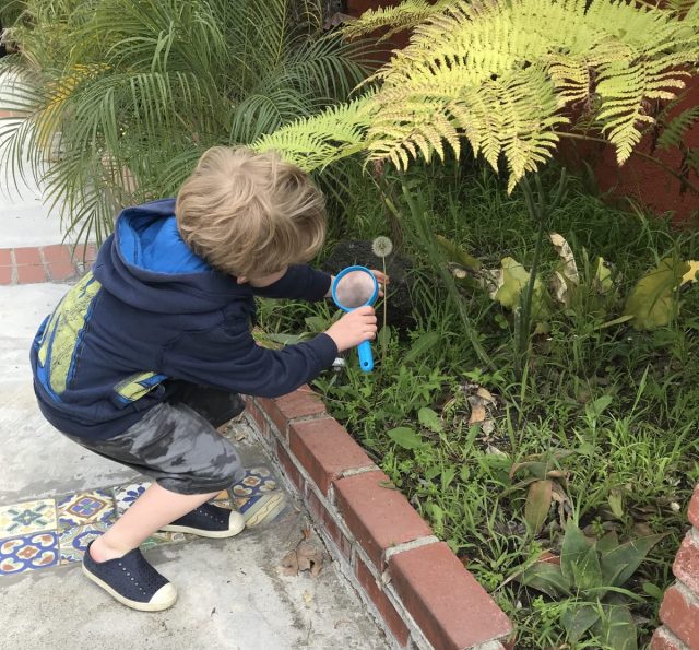 The Ultimate LA Neighborhood Scavenger Hunt for Kids