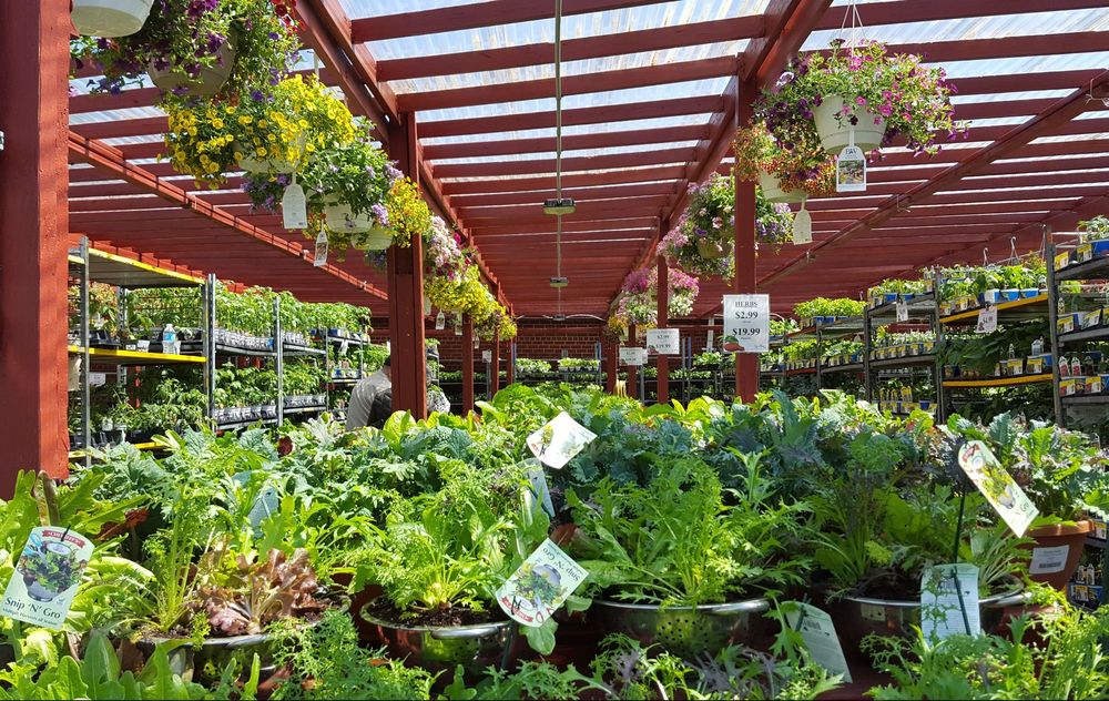 NYC Garden Stores & Plant Nurseries That Deliver