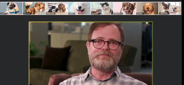 Rainn Wilson Is Hosting a Zoom Meeting––For Your Pets