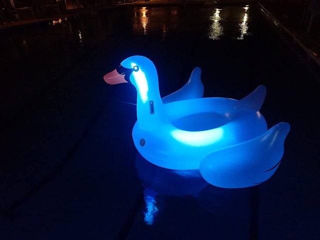 This Light-Up Swan Pool Float Is Here for Your Summer Swim Sesh