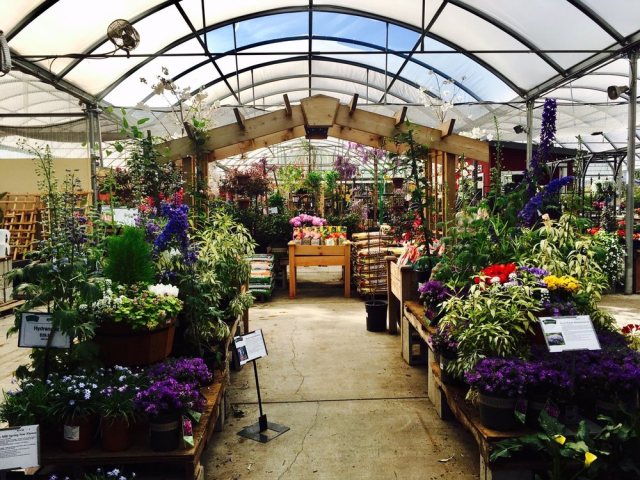 Bay Area Garden Stores That Are Open & Delivering