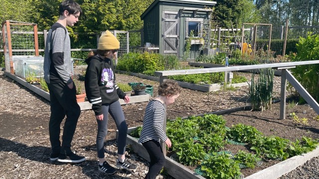 kids explore a garden at seabrook wa