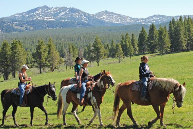 Horseback riding - Yellowstone