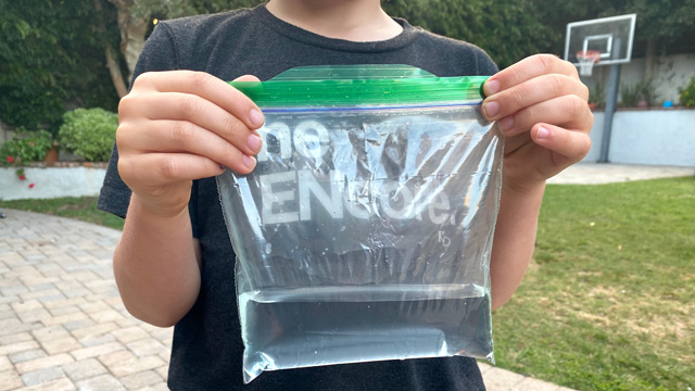 sandwich bag explosions, science in the backyard, backyard science, outdoor science experiments