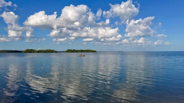 Celebrate Father’s Day with Biscayne National Park