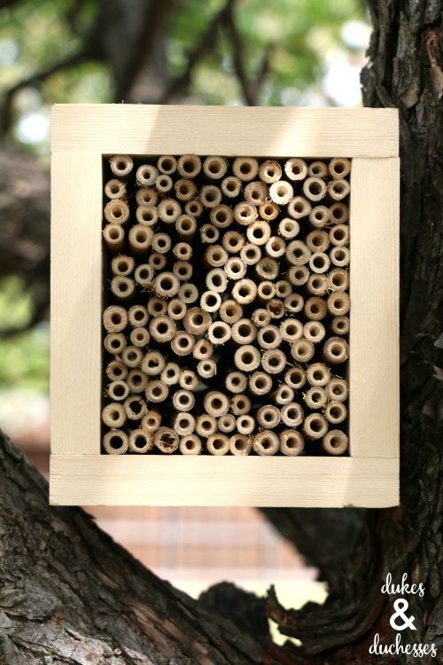 bee hotel woodworking projects for kids