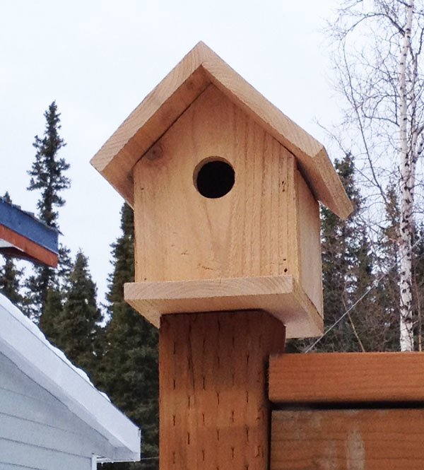 kid DIY birdhouse woodworking