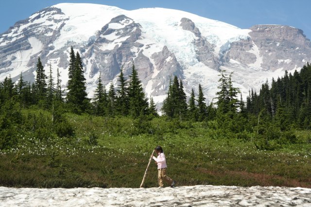 Elevate Your Game: Easy Hikes to Take in Mt. Rainier