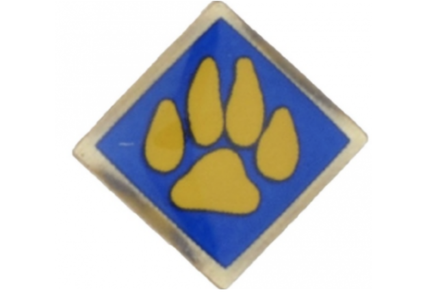 Boy Scouts of America Recalls Cub Scout Activity Pins