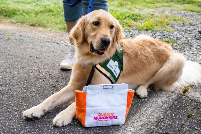 Service Dogs Arriving at Children’s Hospitals Thanks to Dunkin’ Dogs for Joy