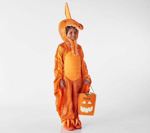 Kids Light Up Pterodactyl Halloween Costume