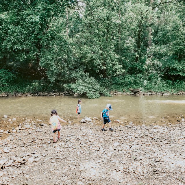 three children creek stomping in Virginia