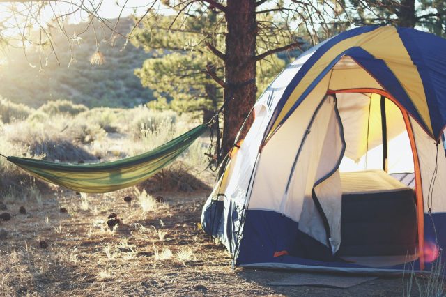 These Are the Best States for Camping