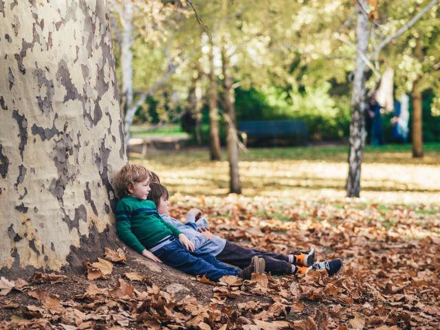 kids hanging out under a tree is one of the easiest outdoor adventures to have