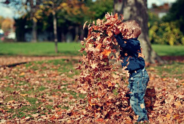 How Play Breaks Can Help Your Child Thrive This Fall