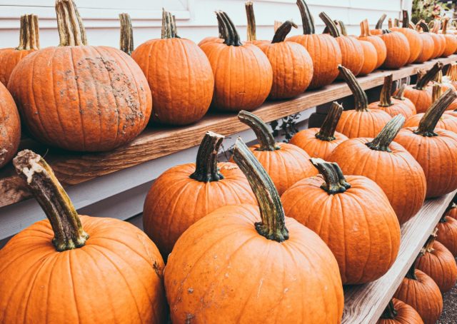 BJ’s Will Deliver a Pumpkin Right to Your Front Door