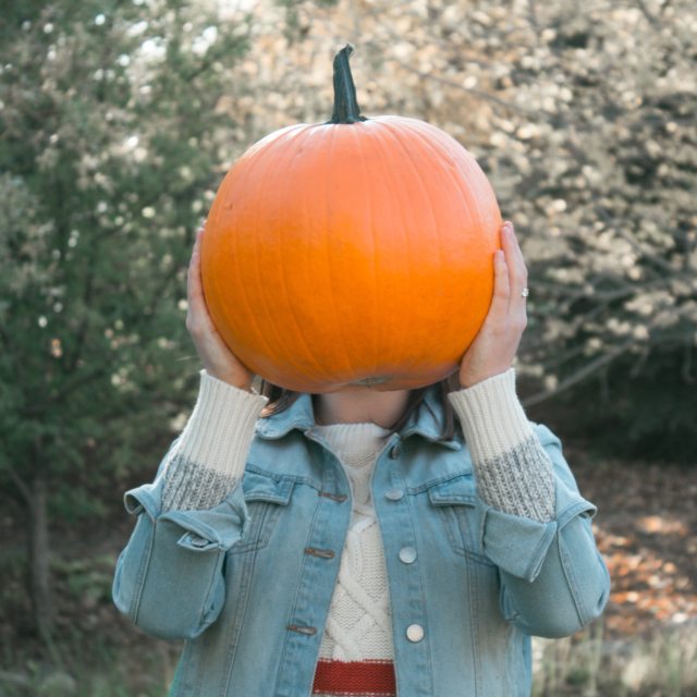 Pumpkin Patch, pumpkins, halloween, fall decorations harvest, fall, fall festival, fall fun, gourd, hay rides, pumpkin farm, scarecrow, autumn