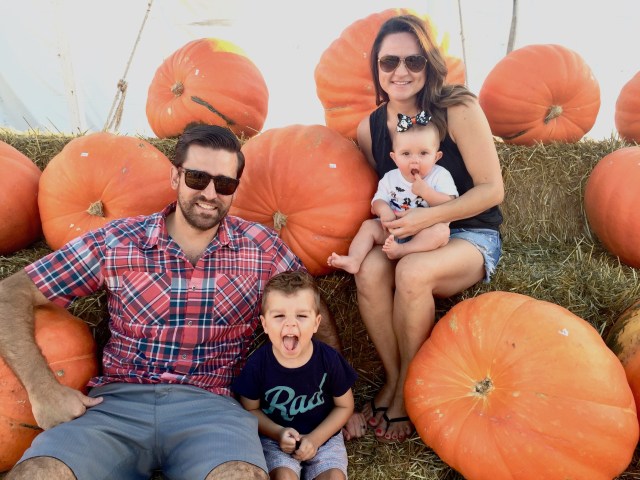 Pumpkin Patch, pumpkins, halloween, harvest, fall, fall festival, fall fun, gourd, hay rides, pumpkin farm, family