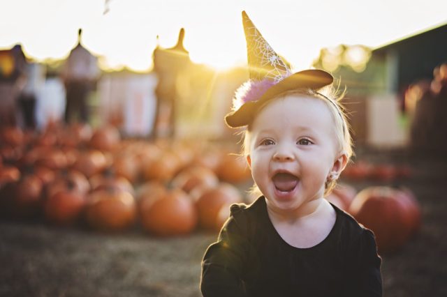 The Best Pumpkin Patches to Visit in LA with Kids