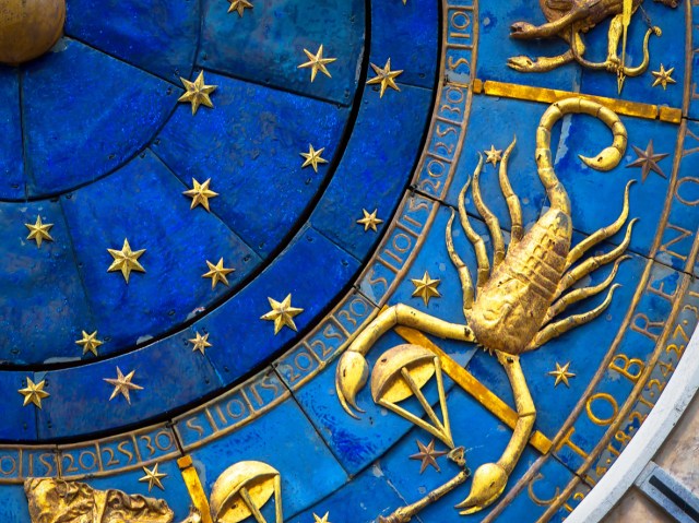 A Little Sting in the Air: Your November 2020 Horoscope